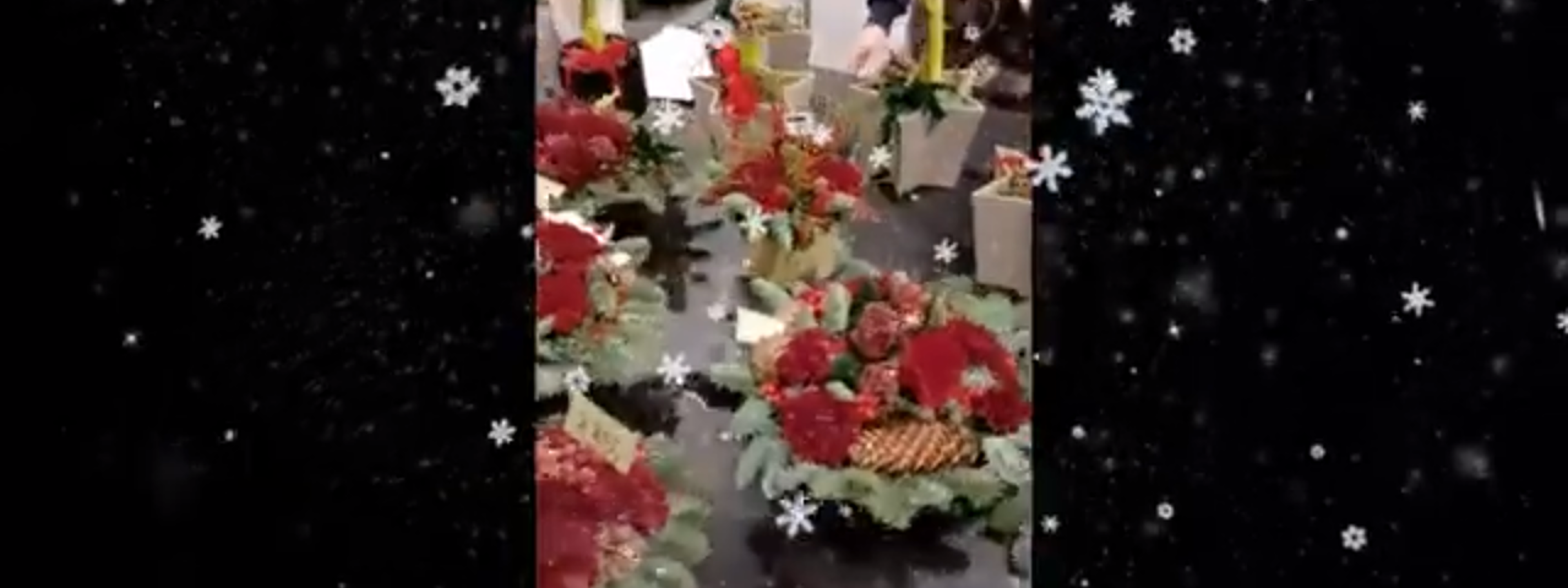 Juleblomster