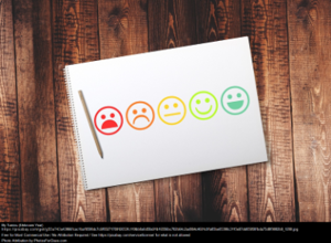Skjema med smileys som vise hvor fornøyd man er