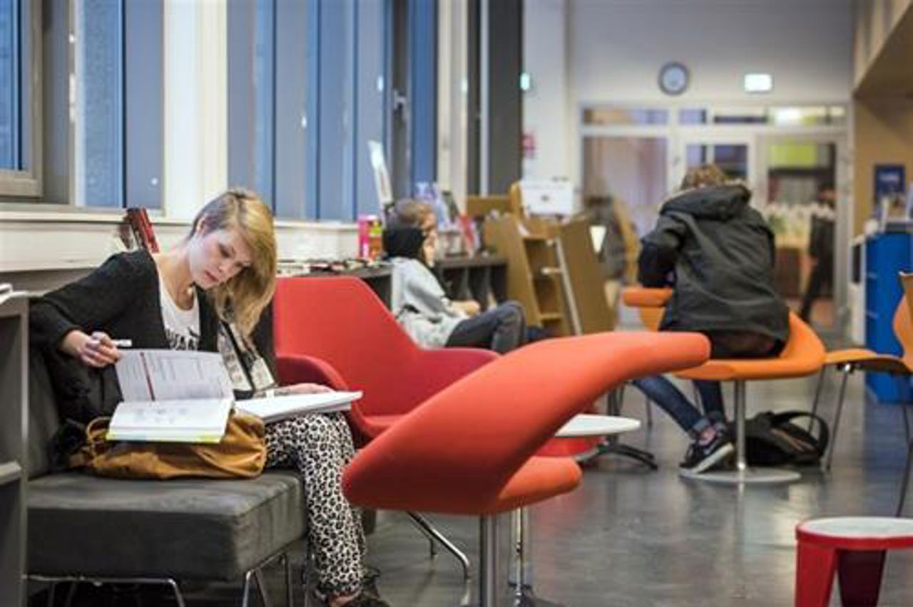 Elev med fagbok på biblioteket